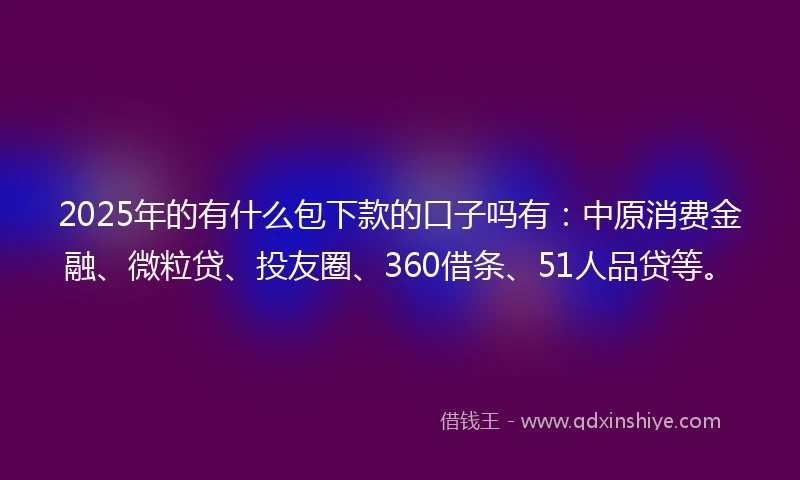 2025年的有什么包下款的口子吗有：中原消费金融、微粒贷、投友圈、360借条、51人品贷等。
