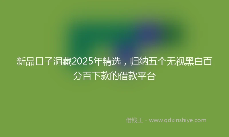 新品口子洞藏2025年精选，归纳五个无视黑白百分百下款的借款平台