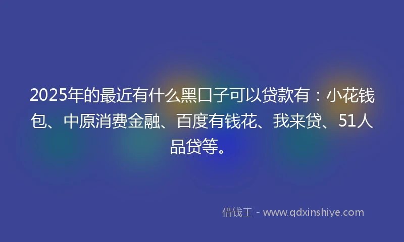 2025年的最近有什么黑口子可以贷款有：小花钱包、中原消费金融、百度有钱花、我来贷、51人品贷等。