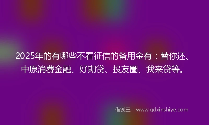 2025年的有哪些不看征信的备用金有：替你还、中原消费金融、好期贷、投友圈、我来贷等。