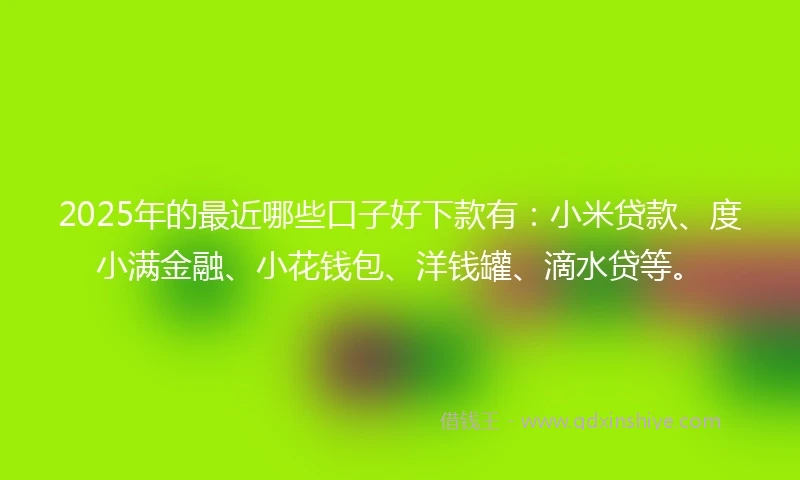 2025年的最近哪些口子好下款有：小米贷款、度小满金融、小花钱包、洋钱罐、滴水贷等。