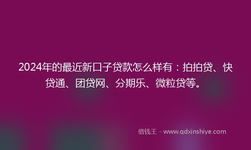 2024年的最近新口子贷款怎么样有：拍拍贷、快贷通、团贷网、分期乐、微粒贷等。