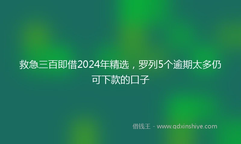 救急三百即借2024年精选，罗列5个逾期太多仍可下款的口子