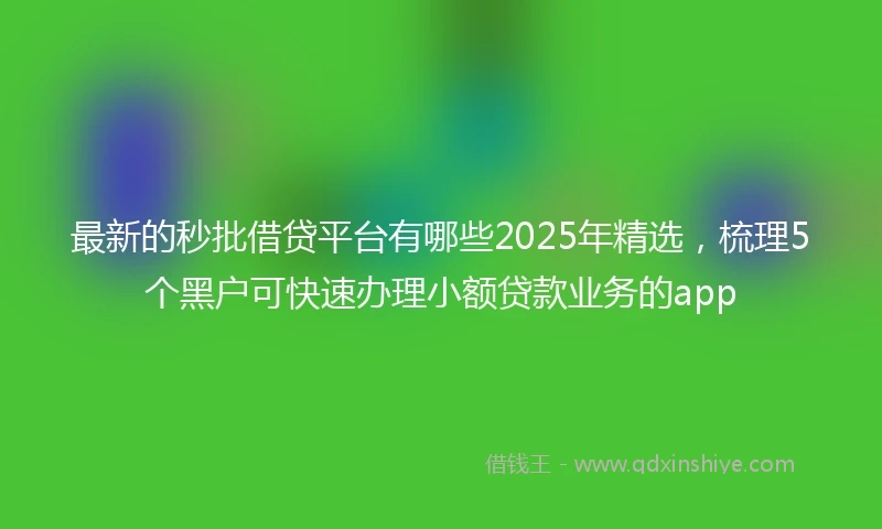 最新的秒批借贷平台有哪些2025年精选，梳理5个黑户可快速办理小额贷款业务的app