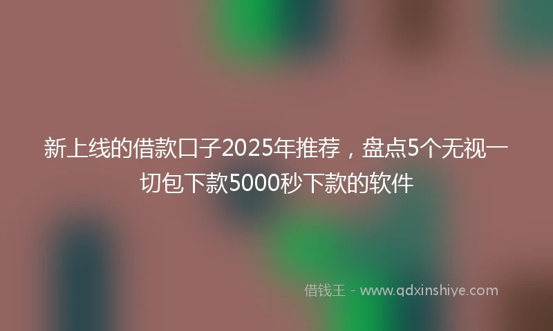 新上线的借款口子2025年推荐，盘点5个无视一切包下款5000秒下款的软件