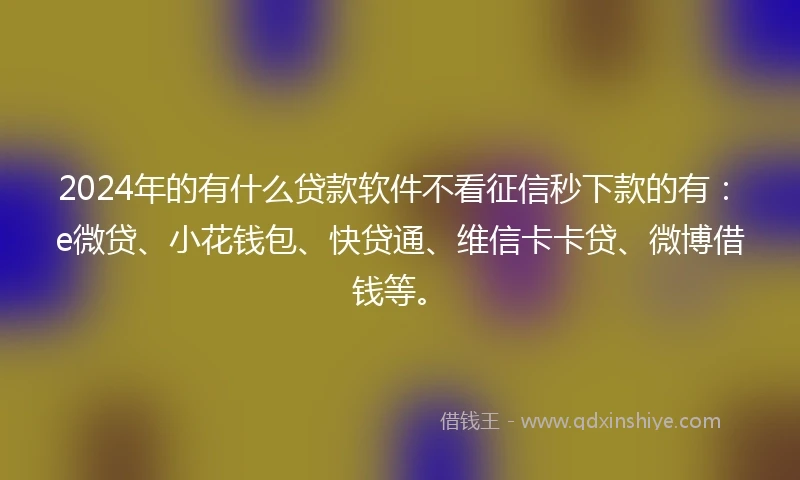 2024年的有什么贷款软件不看征信秒下款的有：e微贷、小花钱包、快贷通、维信卡卡贷、微博借钱等。