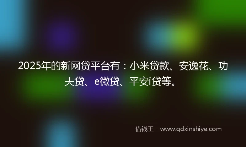 2025年的新网贷平台有：小米贷款、安逸花、功夫贷、e微贷、平安i贷等。