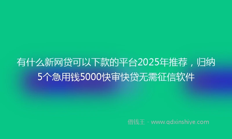 有什么新网贷可以下款的平台2025年推荐，归纳5个急用钱5000快审快贷无需征信软件