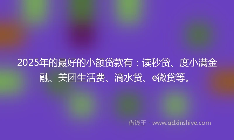 2025年的最好的小额贷款有：读秒贷、度小满金融、美团生活费、滴水贷、e微贷等。