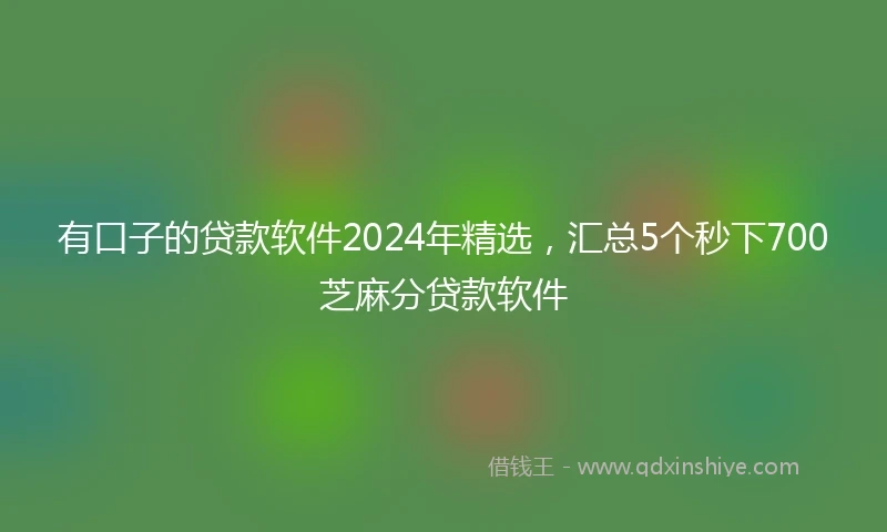 有口子的贷款软件2024年精选，汇总5个秒下700芝麻分贷款软件