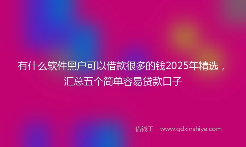 有什么软件黑户可以借款很多的钱2025年精选，汇总五个简单容易贷款口子