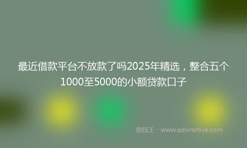 最近借款平台不放款了吗2025年精选，整合五个1000至5000的小额贷款口子