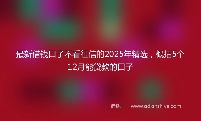 最新借钱口子不看征信的2025年精选，概括5个12月能贷款的口子