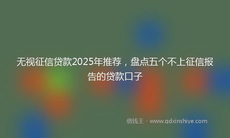 无视征信贷款2025年推荐，盘点五个不上征信报告的贷款口子