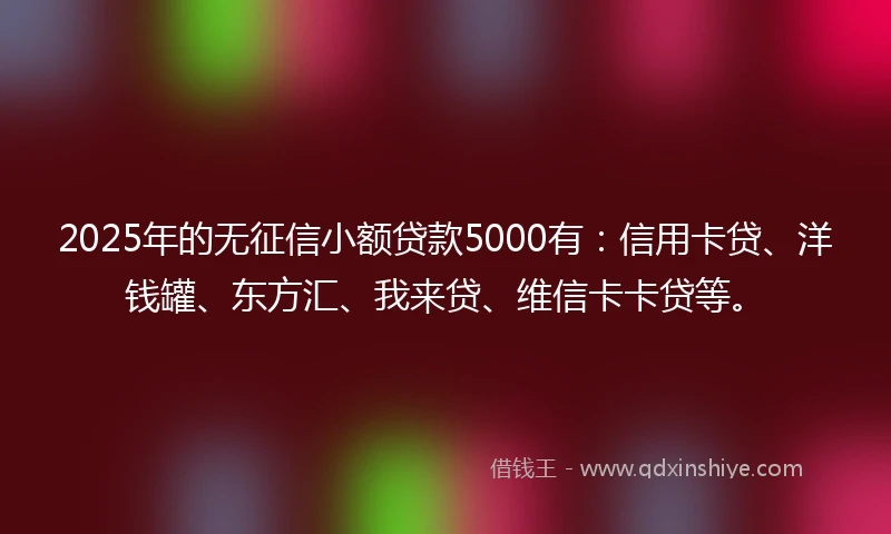 2025年的无征信小额贷款5000有：信用卡贷、洋钱罐、东方汇、我来贷、维信卡卡贷等。
