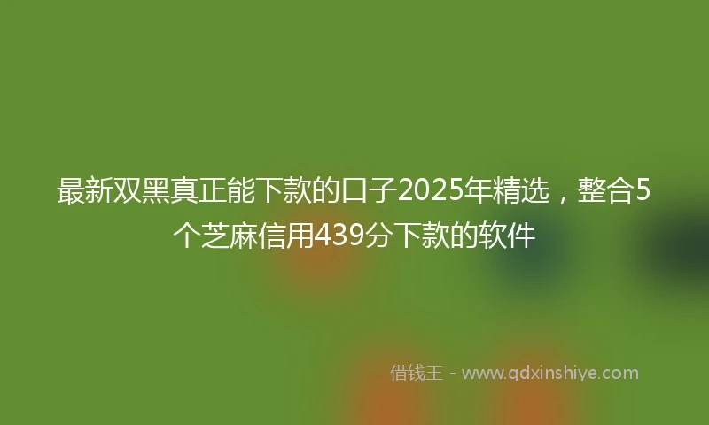 最新双黑真正能下款的口子2025年精选，整合5个芝麻信用439分下款的软件