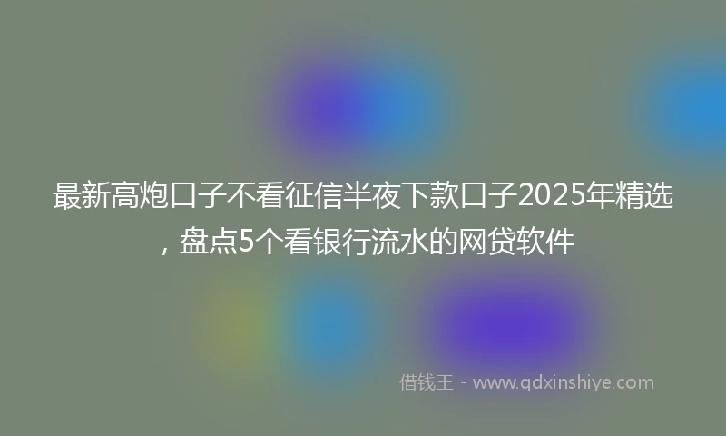 最新高炮口子不看征信半夜下款口子2025年精选，盘点5个看银行流水的网贷软件