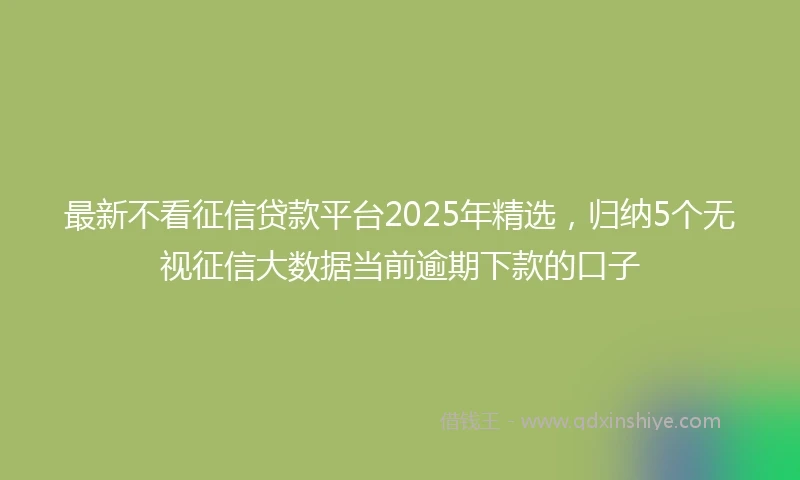 最新不看征信贷款平台2025年精选，归纳5个无视征信大数据当前逾期下款的口子