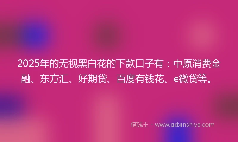 2025年的无视黑白花的下款口子有：中原消费金融、东方汇、好期贷、百度有钱花、e微贷等。