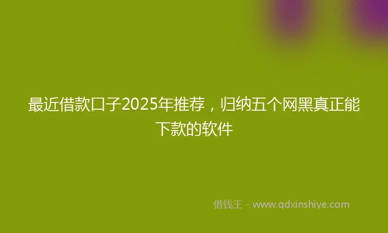 最近借款口子2025年推荐，归纳五个网黑真正能下款的软件