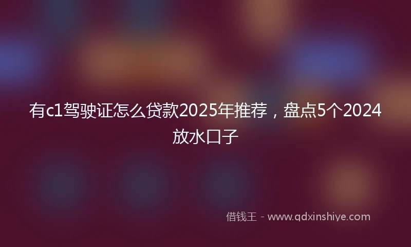 有c1驾驶证怎么贷款2025年推荐，盘点5个2024放水口子