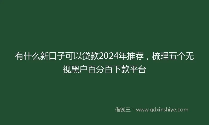 有什么新口子可以贷款2024年推荐，梳理五个无视黑户百分百下款平台