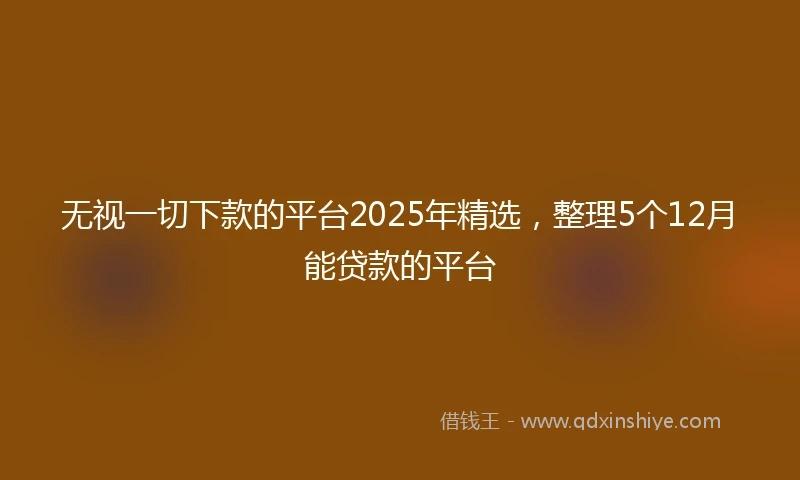 无视一切下款的平台2025年精选，整理5个12月能贷款的平台