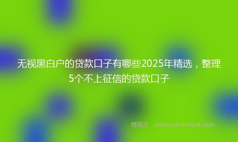 无视黑白户的贷款口子有哪些2025年精选，整理5个不上征信的贷款口子
