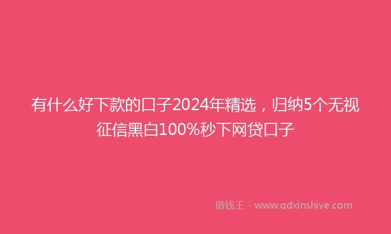 有什么好下款的口子2024年精选,归纳5个无视征信黑白100%秒下网贷口子