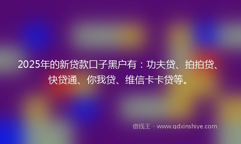 2025年的新贷款口子黑户有：功夫贷、拍拍贷、快贷通、你我贷、维信卡卡贷等。