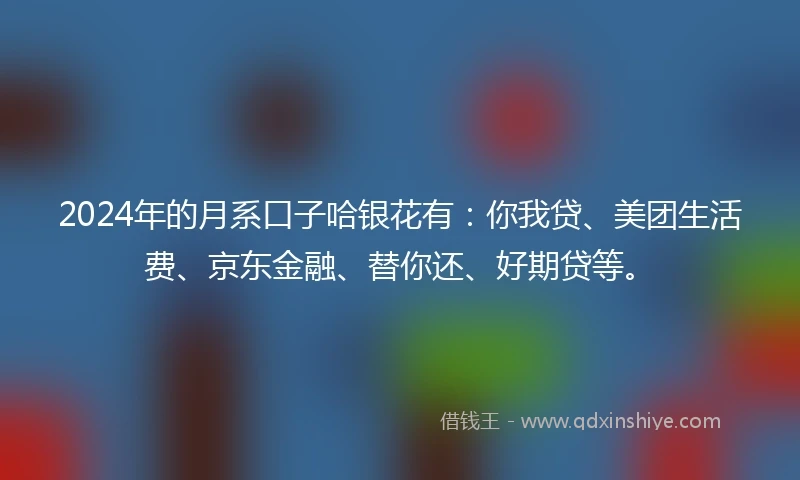 2024年的月系口子哈银花有：你我贷、美团生活费、京东金融、替你还、好期贷等。