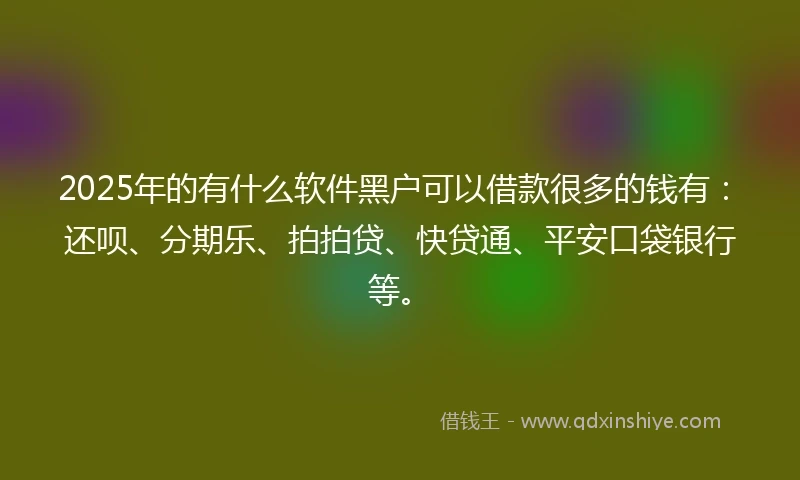 2025年的有什么软件黑户可以借款很多的钱有：还呗、分期乐、拍拍贷、快贷通、平安口袋银行等。