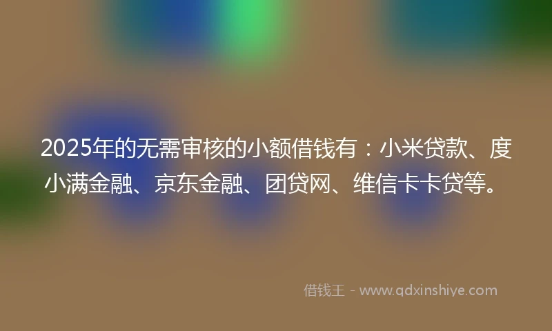 2025年的无需审核的小额借钱有：小米贷款、度小满金融、京东金融、团贷网、维信卡卡贷等。