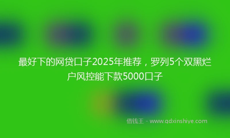 最好下的网贷口子2025年推荐，罗列5个双黑烂户风控能下款5000口子