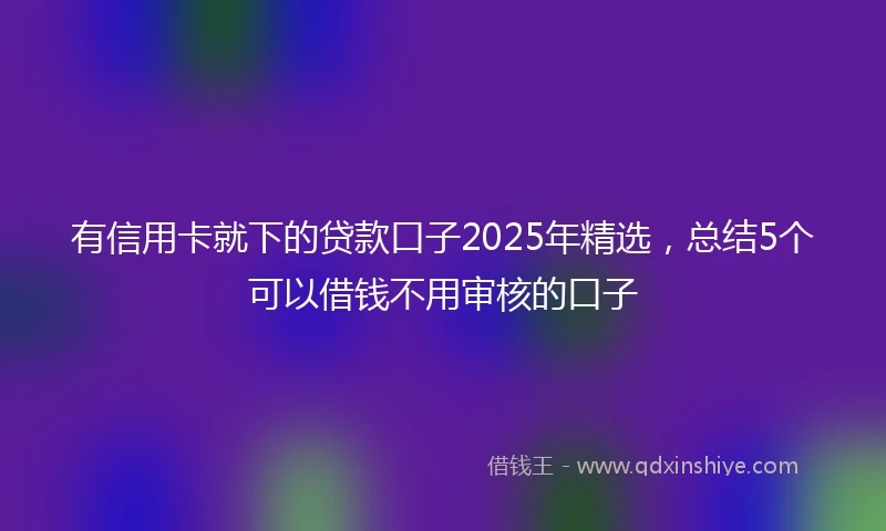 有信用卡就下的贷款口子2025年精选，总结5个可以借钱不用审核的口子
