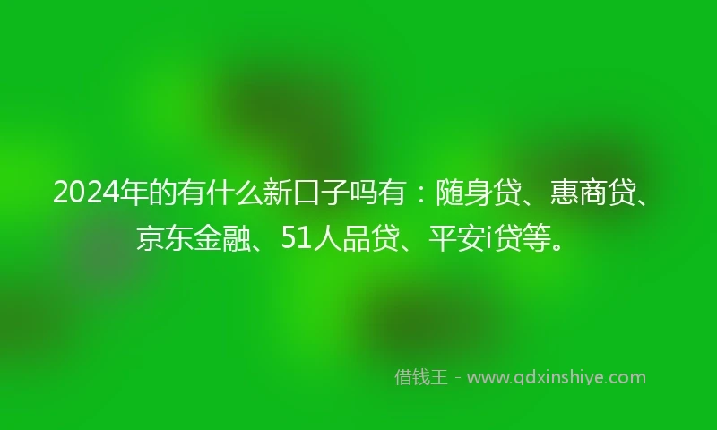 2024年的有什么新口子吗有：随身贷、惠商贷、京东金融、51人品贷、平安i贷等。