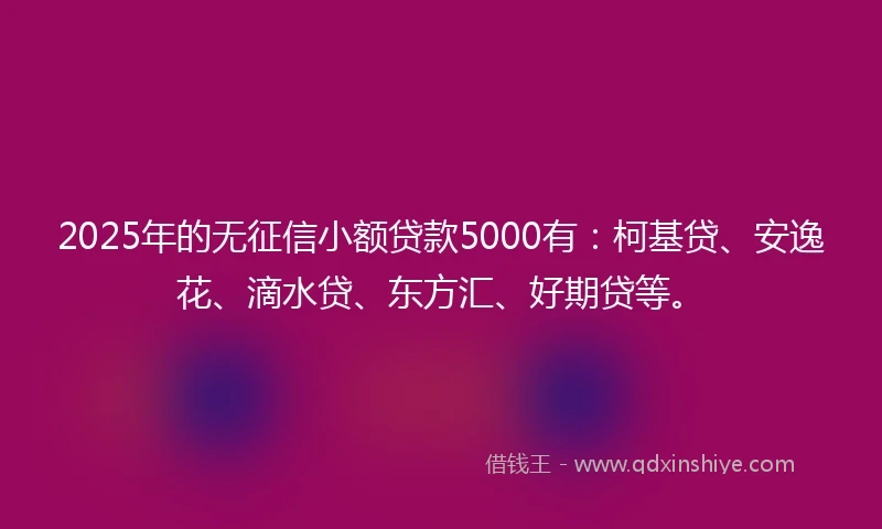 2025年的无征信小额贷款5000有:柯基贷、安逸花、滴水贷、东方汇、好期贷等。
