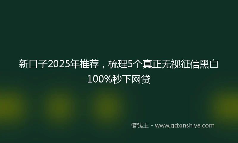 新口子2025年推荐，梳理5个真正无视征信黑白100%秒下网贷
