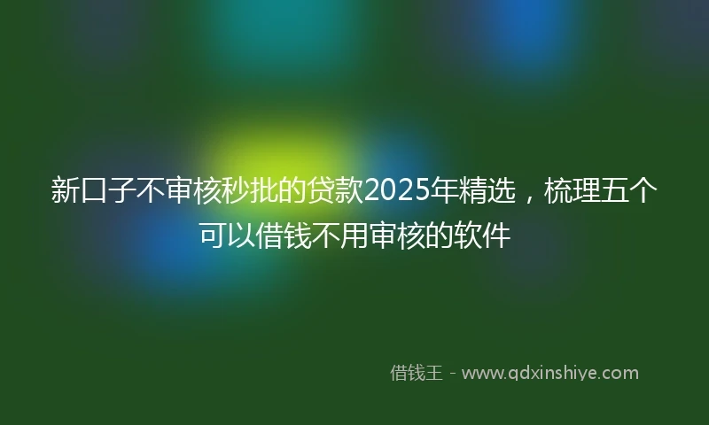 新口子不审核秒批的贷款2025年精选，梳理五个可以借钱不用审核的软件
