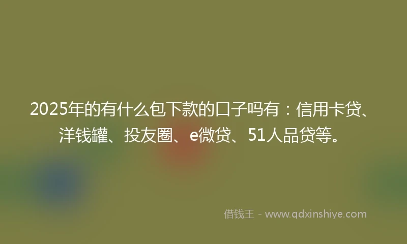 2025年的有什么包下款的口子吗有：信用卡贷、洋钱罐、投友圈、e微贷、51人品贷等。