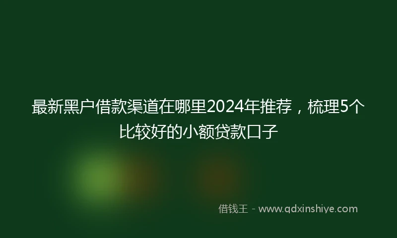 最新黑户借款渠道在哪里2024年推荐，梳理5个比较好的小额贷款口子
