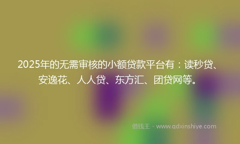 2025年的无需审核的小额贷款平台有：读秒贷、安逸花、人人贷、东方汇、团贷网等。