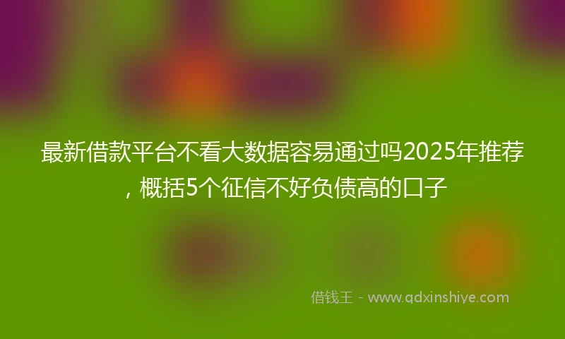 最新借款平台不看大数据容易通过吗2025年推荐，概括5个征信不好负债高的口子