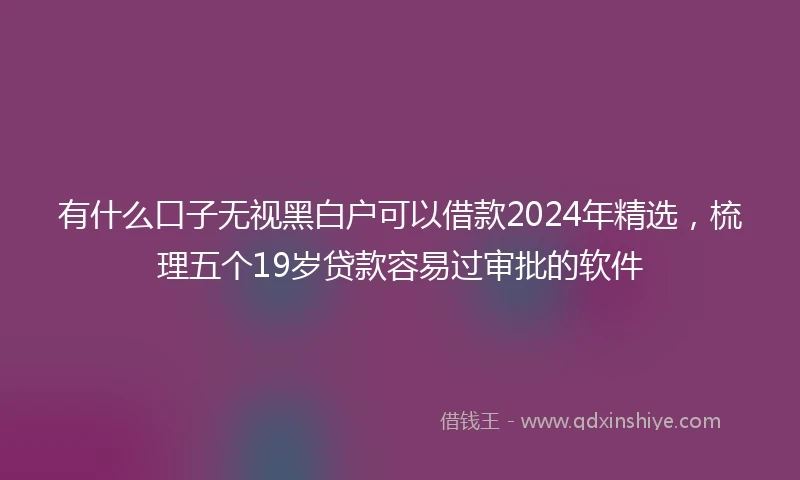 有什么口子无视黑白户可以借款2024年精选,梳理五个19岁贷款容易过审批的软件