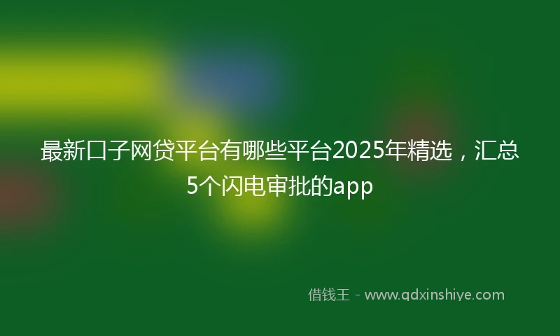 最新口子网贷平台有哪些平台2025年精选，汇总5个闪电审批的app