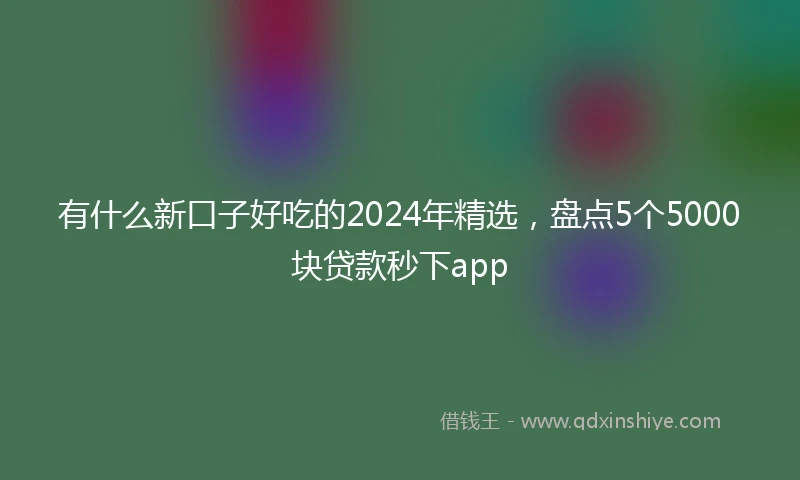 有什么新口子好吃的2024年精选，盘点5个5000块贷款秒下app
