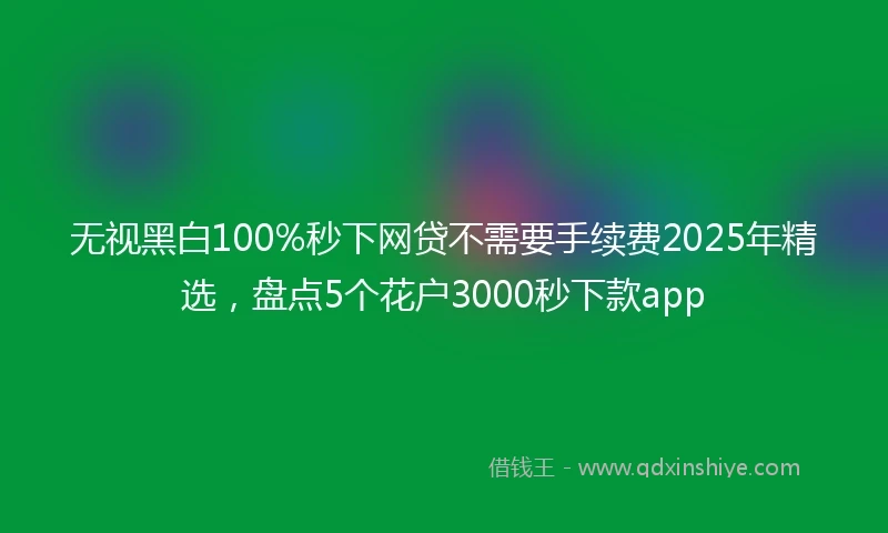 无视黑白100%秒下网贷不需要手续费2025年精选，盘点5个花户3000秒下款app