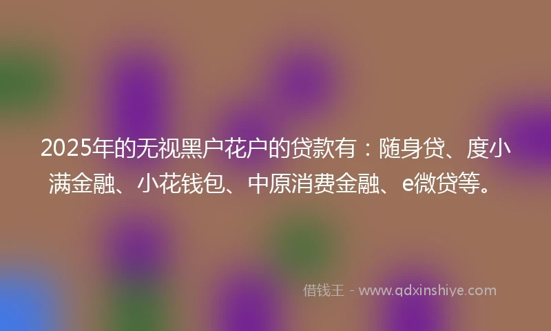 2025年的无视黑户花户的贷款有：随身贷、度小满金融、小花钱包、中原消费金融、e微贷等。