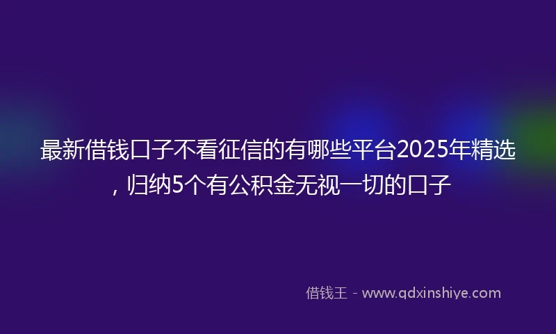 最新借钱口子不看征信的有哪些平台2025年精选，归纳5个有公积金无视一切的口子