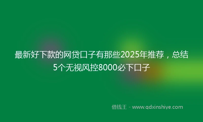 最新好下款的网贷口子有那些2025年推荐，总结5个无视风控8000必下口子